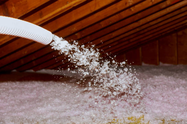 Best Fiberglass Insulation  in Holland, MI