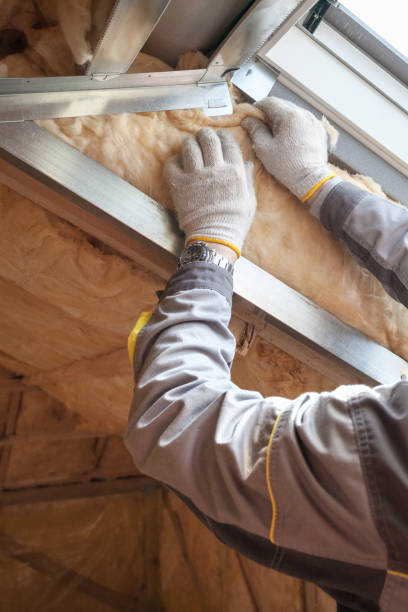 Best Crawl Space Insulation  in Holland, MI