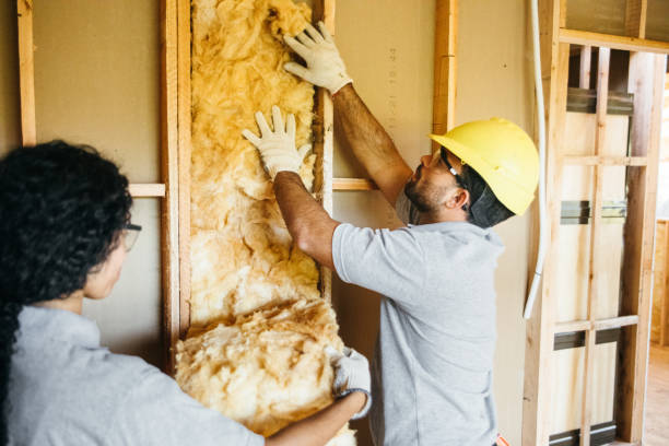 Best Insulation Contractor Near Me  in Holland, MI