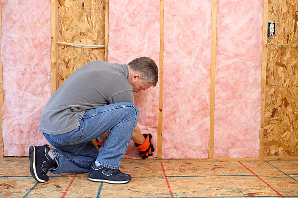 Best Wall Insulation Contractor  in Holland, MI