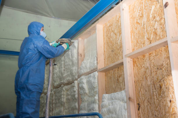 Best Insulation Removal  in Holland, MI